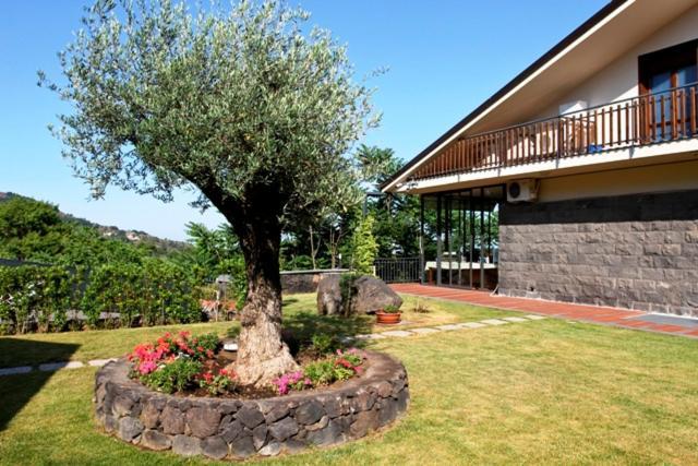 Etna Hut Nicolosi Exterior foto